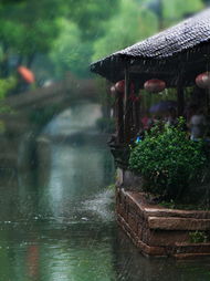 游戏烟雨江南任务攻略