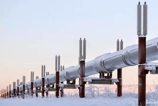 俄方:中国要多少石油 俄就输送多少