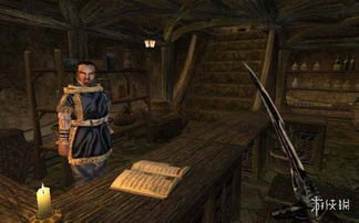 上古卷轴3 游戏攻略 上古卷轴3 游戏攻略