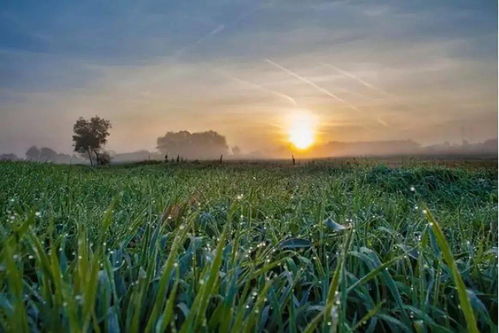 连休9天 很多杭州人开始准备