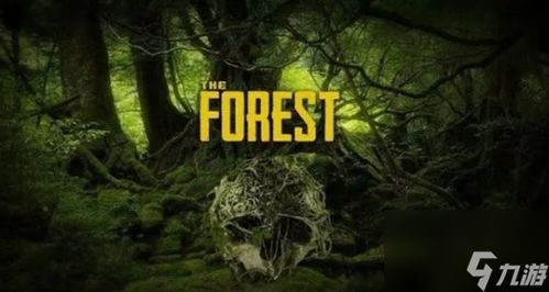 森林版恐怖游戏攻略