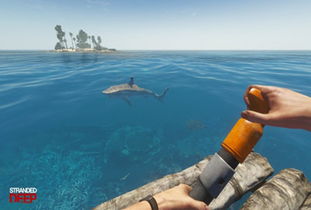 最新荒岛求生游戏攻略