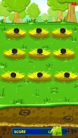 公母鸡下蛋游戏攻略