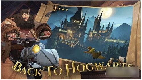 哈利波特游戏攻略 竖琴 哈利波特游戏攻略 竖琴