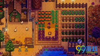 小镇之星游戏攻略视频