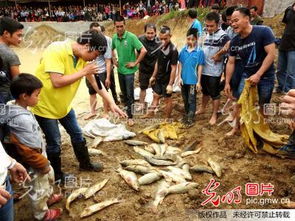 广西抓鱼攻略游戏