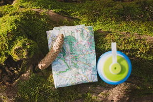 行走的旅行攻略游戏 行走的旅行攻略游戏