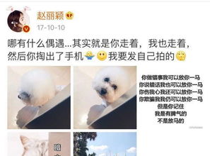 当事人回应给狗办满月宴:不是炒作