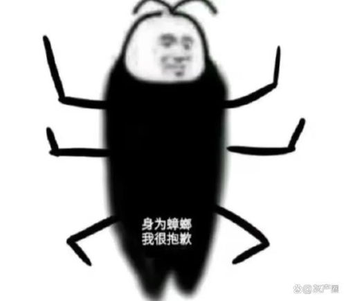 杭州一地铁口被吐槽像棺材 杭州一地铁口被吐槽像棺材