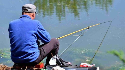 男子去河里散步把鱼也“牵”出来