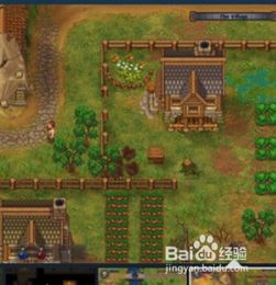 夫人的午餐游戏攻略