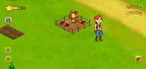 农村抢票攻略游戏