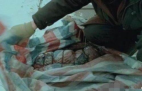 杀害女高中生的凶手:我想分尸 杀害女高中生的凶手:我想分尸