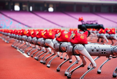 宇树科技回应机器人跑马摔倒