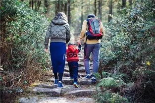 手机拍照爬山攻略游戏