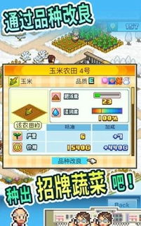 赚钱办婚礼游戏攻略