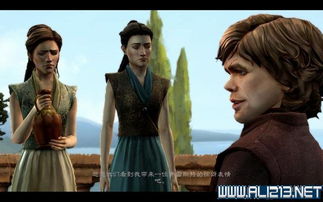 真实女支游戏攻略