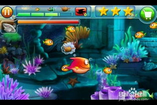 玩游鱼游戏的攻略