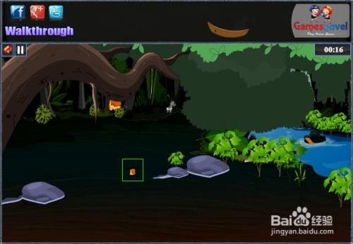 动物森林 游戏攻略视频