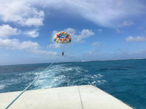 碧海蓝天 游戏攻略 碧海蓝天 游戏攻略