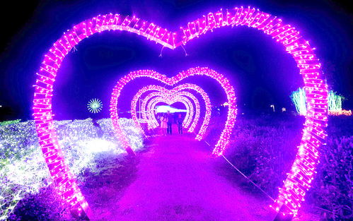 灯光布置超级攻略游戏 灯光布置超级攻略游戏