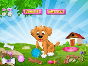 带狗出门游戏攻略教案 带狗出门游戏攻略教案