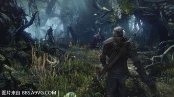 巫师三游戏细节攻略