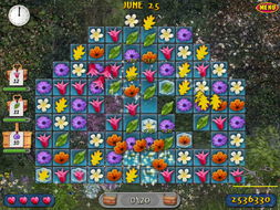 幽谷之花游戏攻略 幽谷之花游戏攻略