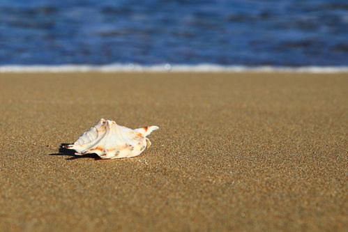 女子称被男同事故意关进冷库