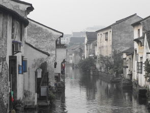 绍兴是一个巨大的鲁迅痛城