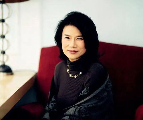 胡锡进：董明珠女士应当道歉