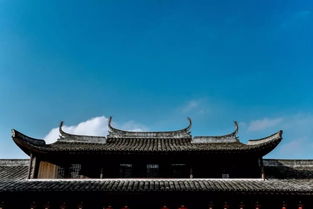 泽国书院游戏攻略