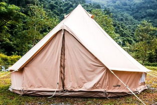 露营装备攻略游戏图片