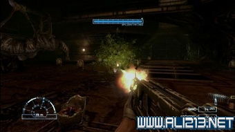 铁血大战异形游戏攻略