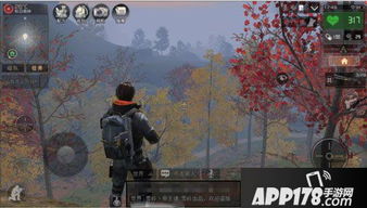 秋日森林联机攻略游戏