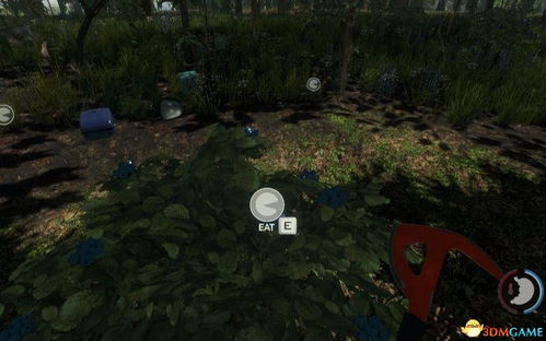 游戏森林制作指南攻略