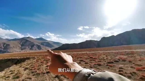 23岁异瞳小伙在无人区拍治沙走红