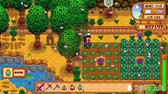 美德游戏狄奥攻略