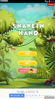 饲养宠物蛇攻略游戏