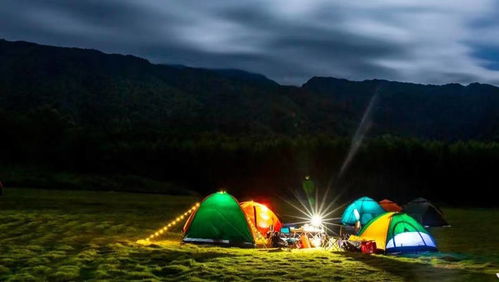 露营2游戏攻略视频