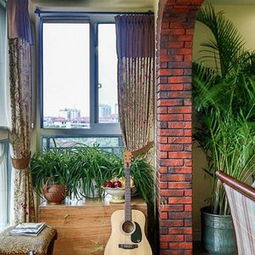 大院改造装修攻略游戏