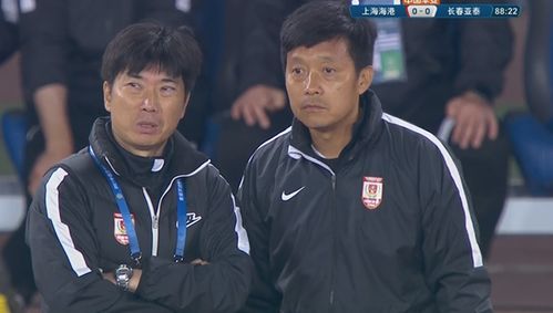 泰山陪爬小伙忙疯了也赚疯了