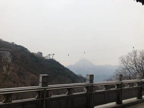 泰山山顶公厕挤满避寒的人