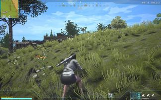 国产游戏自由禁区攻略