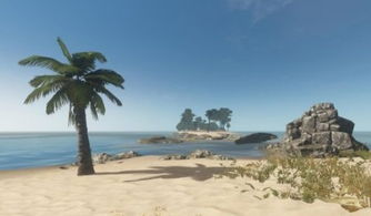 海南荒岛求生攻略游戏