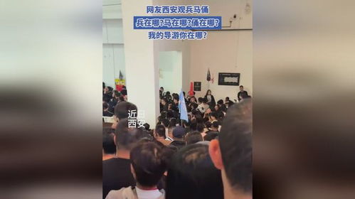 兵在哪马在哪俑在哪导游你在哪