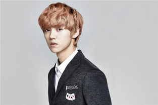 马頔回应网友模仿“爷们要脸”