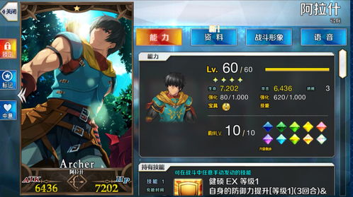 遇见神龙过关攻略游戏