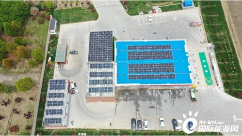 星源明星恋爱游戏攻略