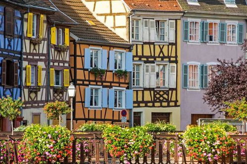 美丽小镇植物攻略游戏 美丽小镇植物攻略游戏